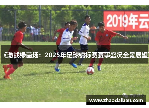 《激战绿茵场：2025年足球锦标赛赛事盛况全景展望》